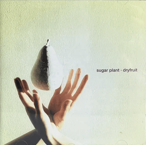 貴重　sugar plant/dryfruit 14044017