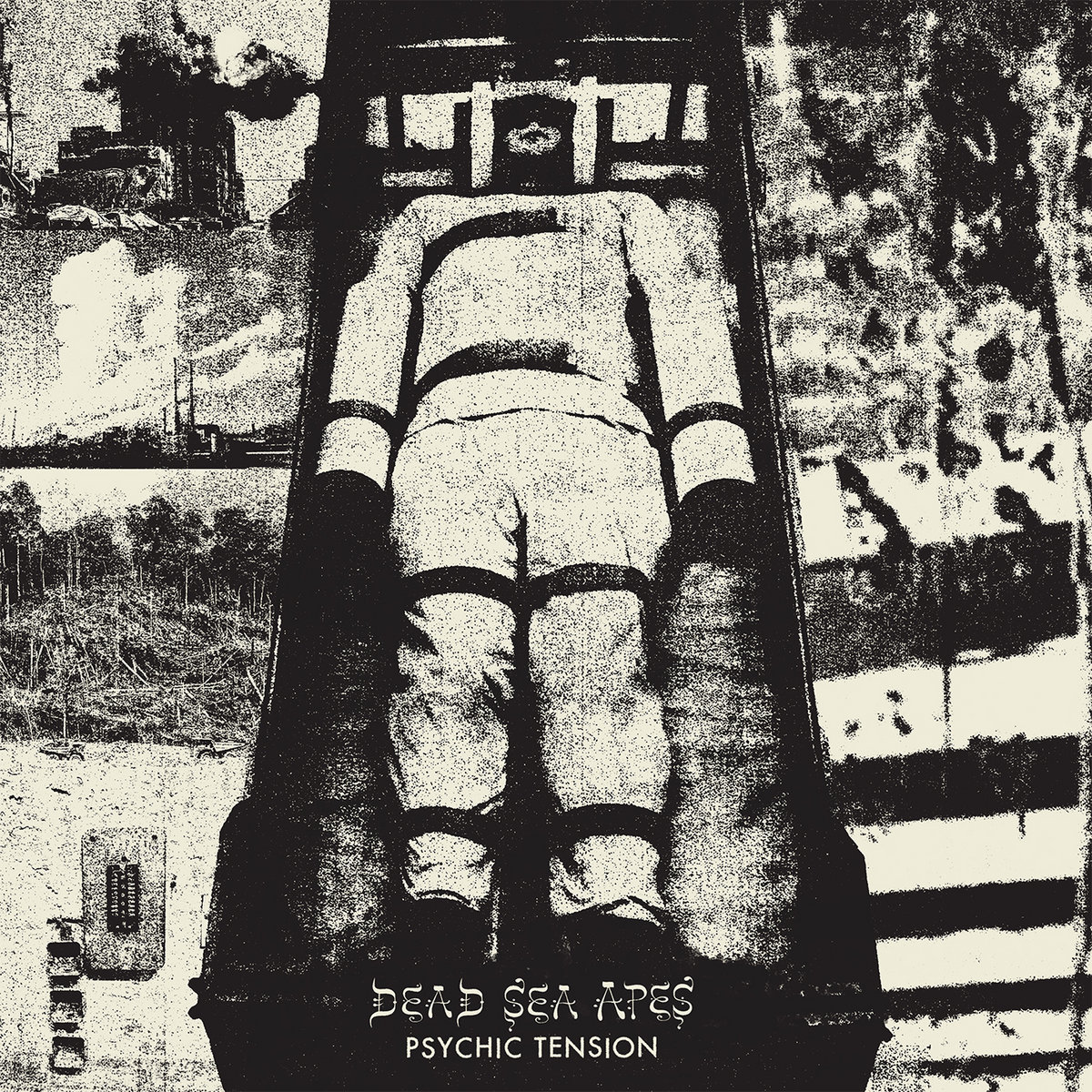 Psychic Tension by Dead Sea Apes (Album): Reviews, Ratings, Credits ...