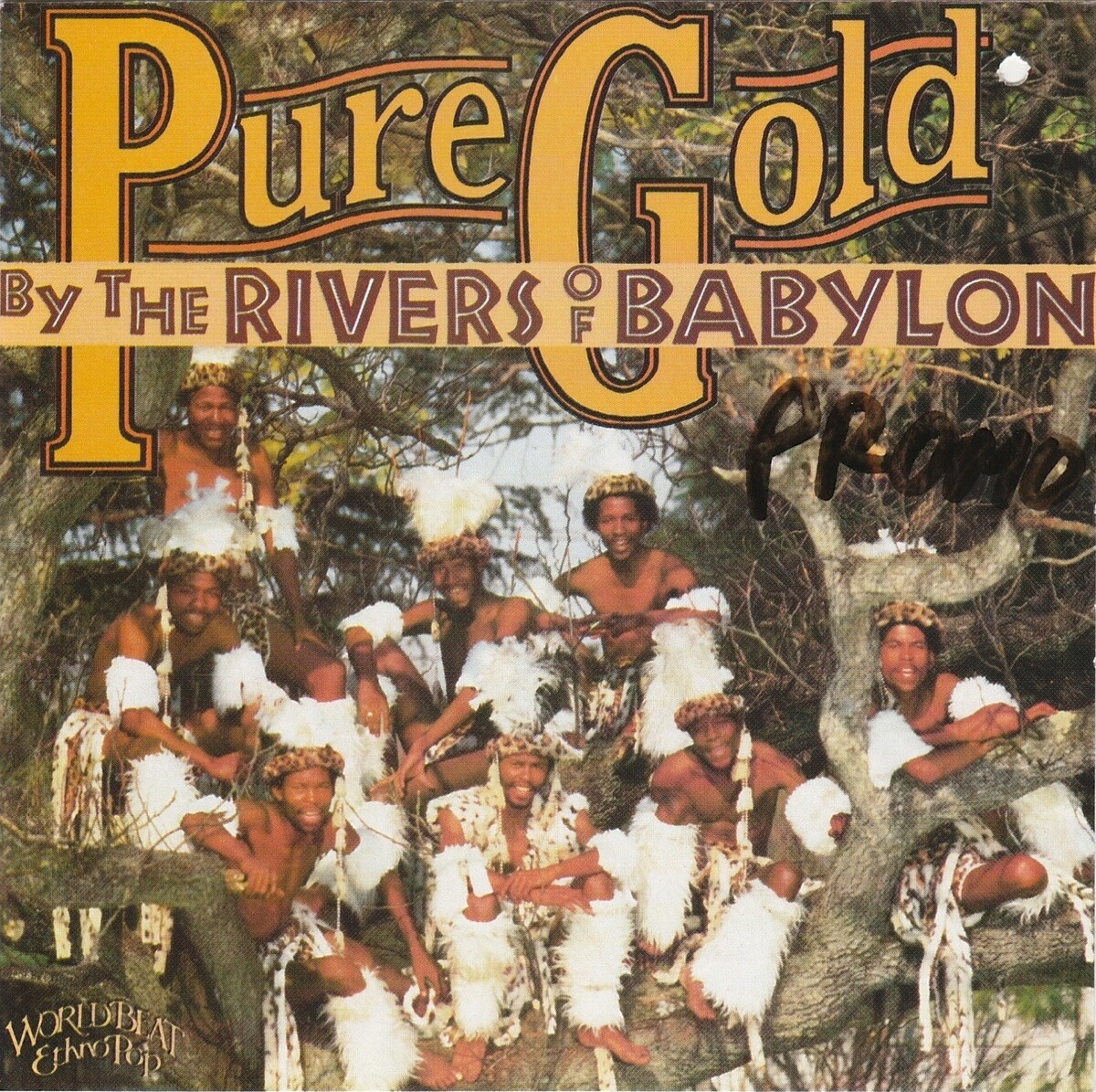 Pure Gold Albums: songs, discography, biography, and listening