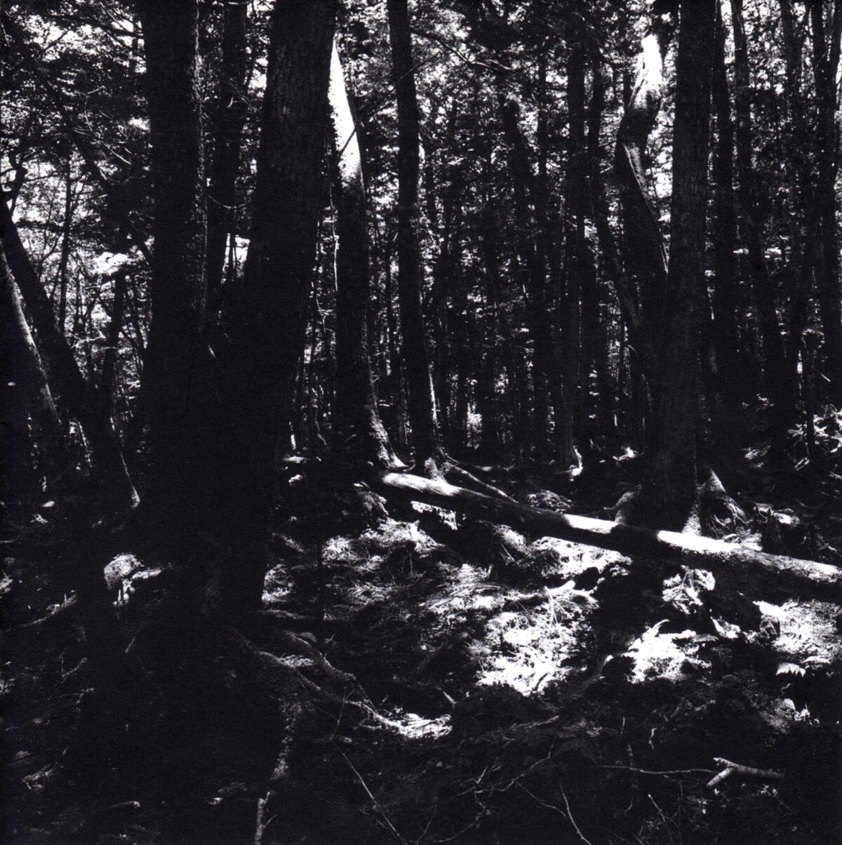 東京酒吐座　turnaround world end.] - 東京酒吐座/Tokyo Shoegazer 邦楽