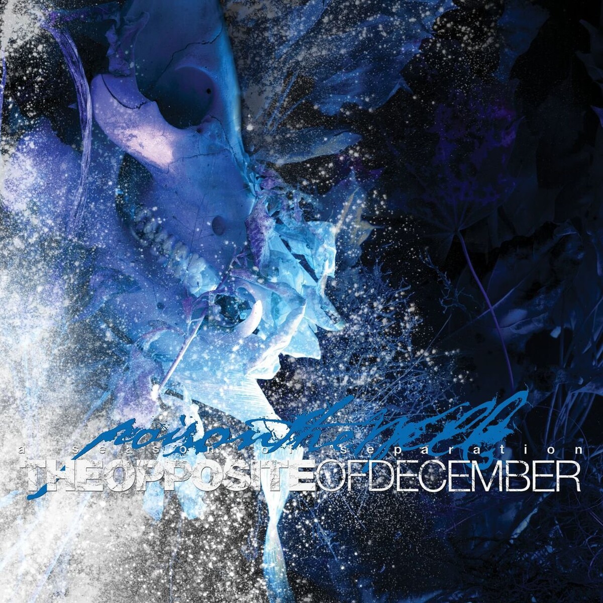 Poison the Well Albums: songs, discography, biography, and listening ...