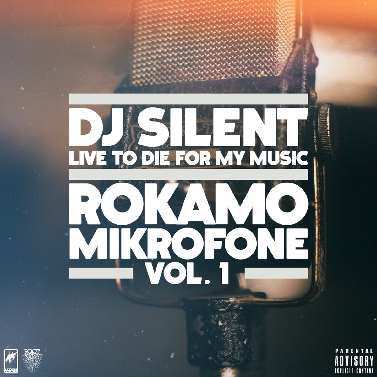 DJ Silent Albums: songs, discography, biography, and listening guide ...