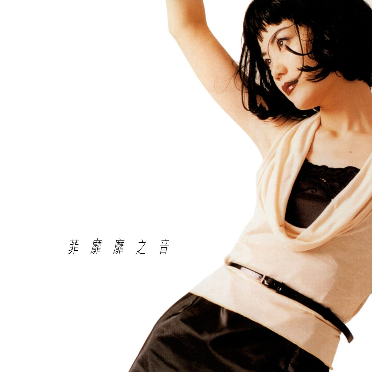 王菲 Faye Wong フェイ・ウォン 菲靡靡之音 限定盤LPレコード 菲靡靡之音 by 王菲 [Faye Wong] (Album, Adult Contemporary