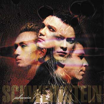 SCHWEIN 1st Album「SCHWEINSTEIN」ポスター Schweinstein by Schwein (Album, Industrial Rock): Reviews, Ratings