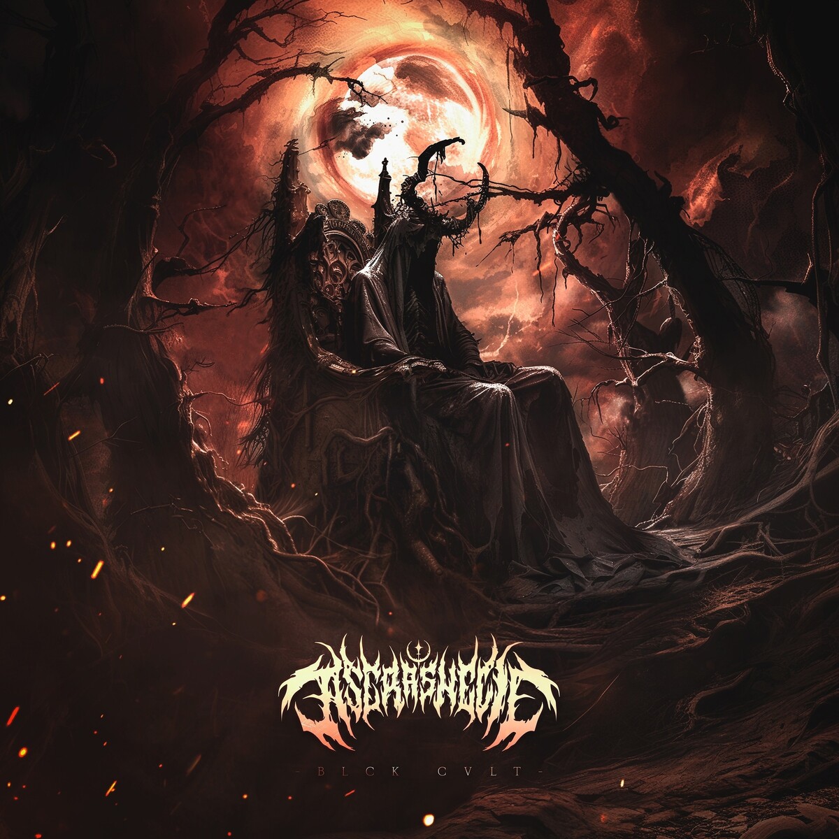 Astra Shell Albums: songs, discography, biography, and listening guide ...