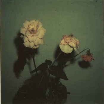 Give Me My Flowers While I Can Smell Them by Blu & Exile (Album