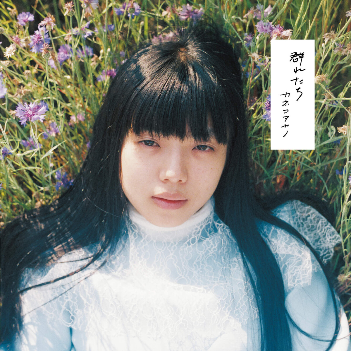 群れたち by カネコアヤノ [Ayano Kaneko] (Album, Singer-Songwriter