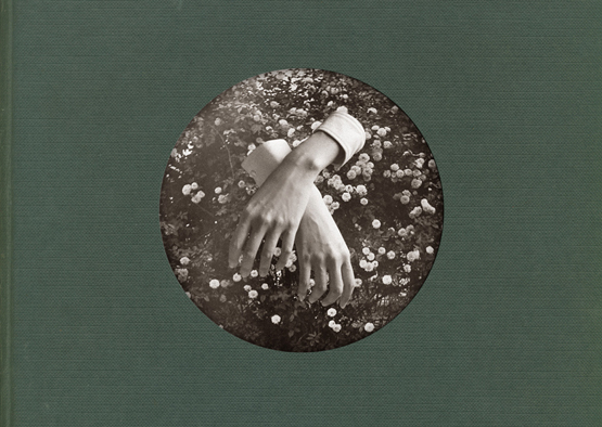 A Little Fable by Aspidistrafly (Album, Ambient Pop): Reviews