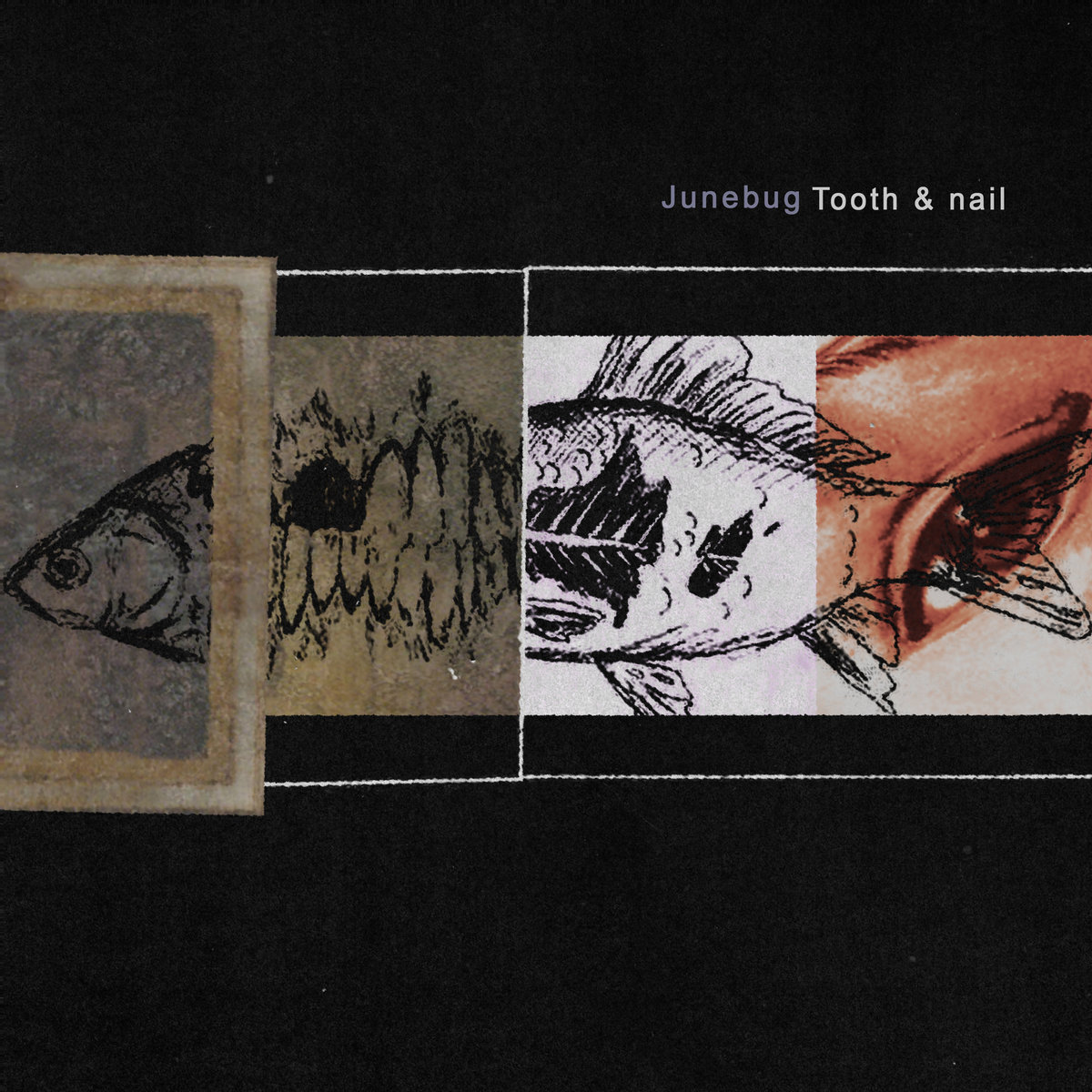 Junebug Albums: songs, discography, biography, and listening guide ...