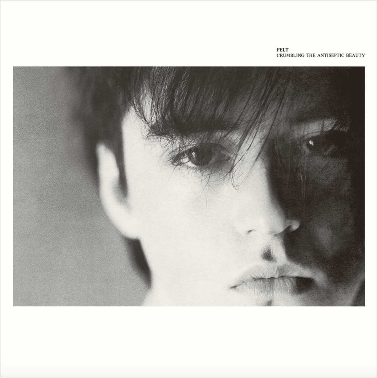 未開封　FELT　CRUMBLING THE ANTISEPTIC BEAUTY Crumbling the Antiseptic Beauty by Felt (Album, Post-Punk