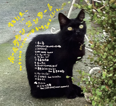 ホームタウンコンサート by 曽我部恵一 [Keiichi Sokabe] (Album