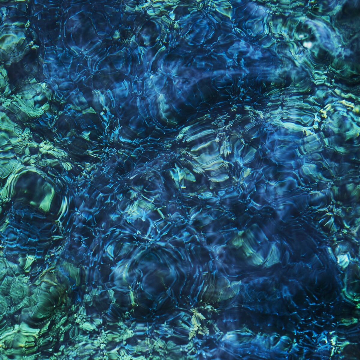 レコード 青葉市子 Luminescent Creatures Delux Edition