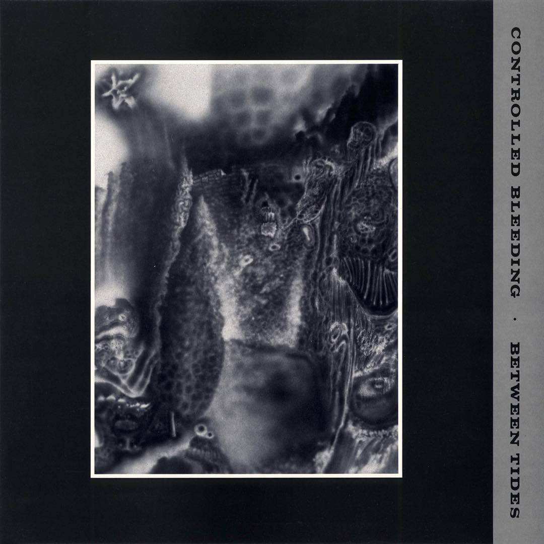 Lists with Between Tides by Controlled Bleeding (Album, Industrial ...