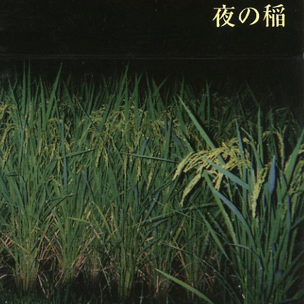 工藤礼子 Albums: songs, discography, biography, and listening