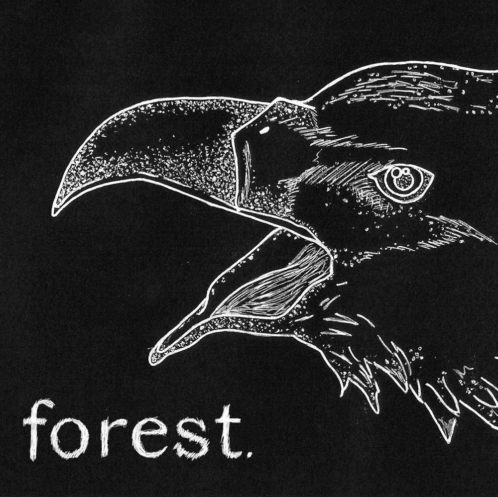 Forest. Albums: songs, discography, biography, and listening guide ...