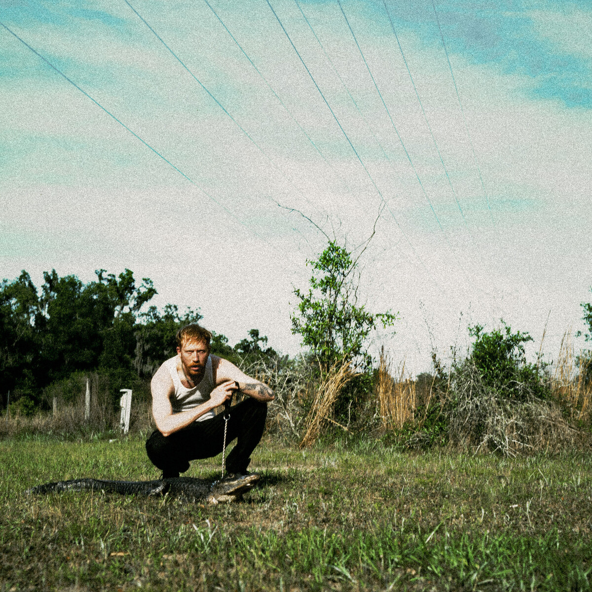 Max Fry Albums: songs, discography, biography, and listening guide ...
