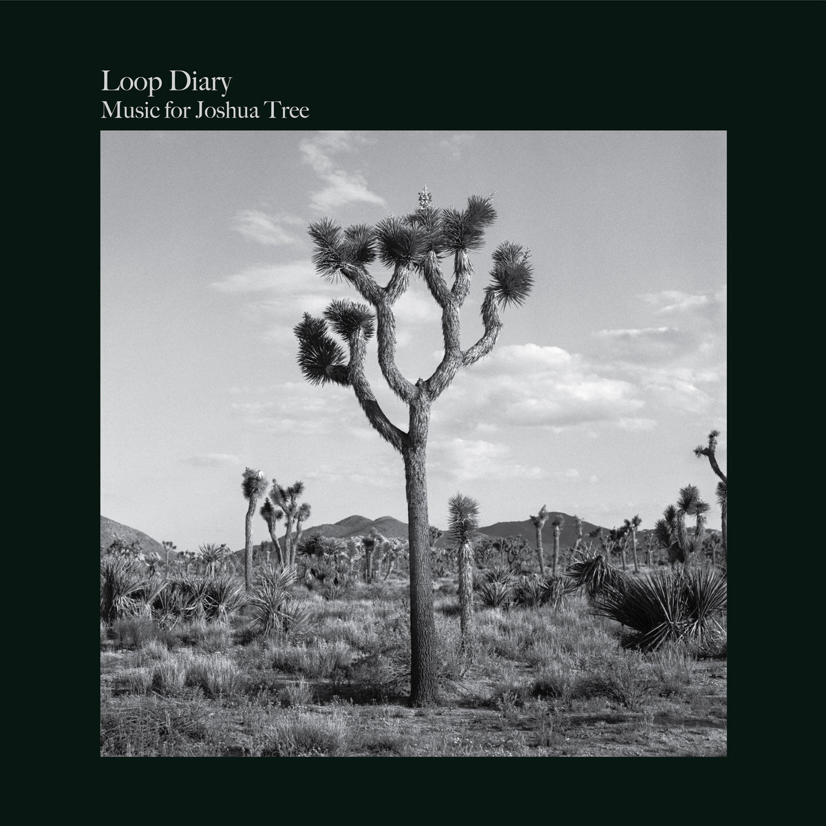 Loop Diary Albums: songs, discography, biography, and listening guide ...