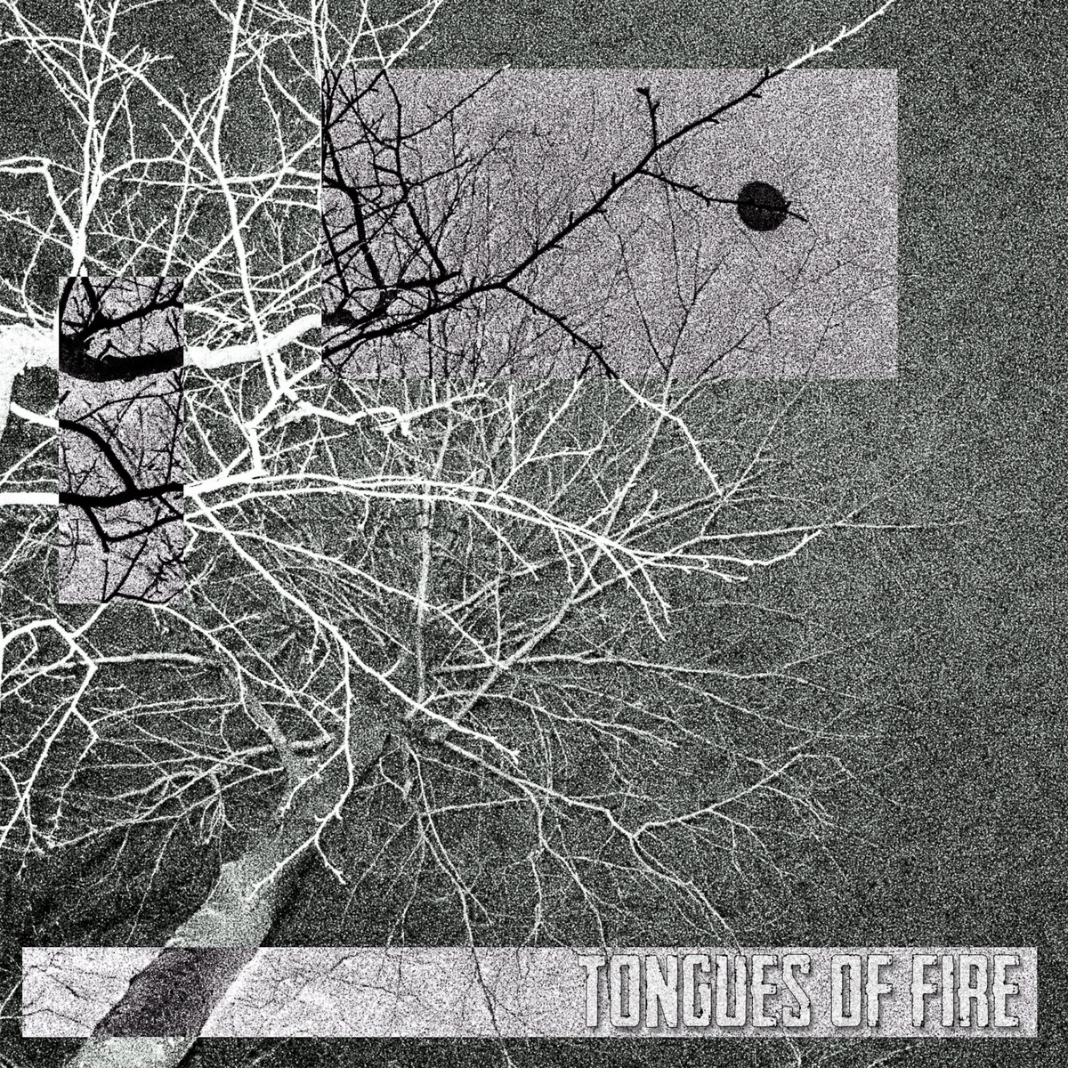 Tongues of Fire by Tongues of Fire (Album): Reviews, Ratings, Credits ...