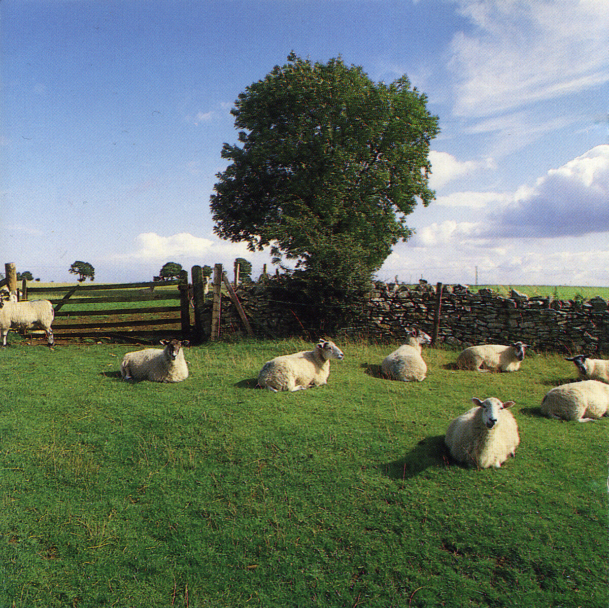 Chill Out by The KLF (Album, Ambient): Reviews, Ratings, Credits