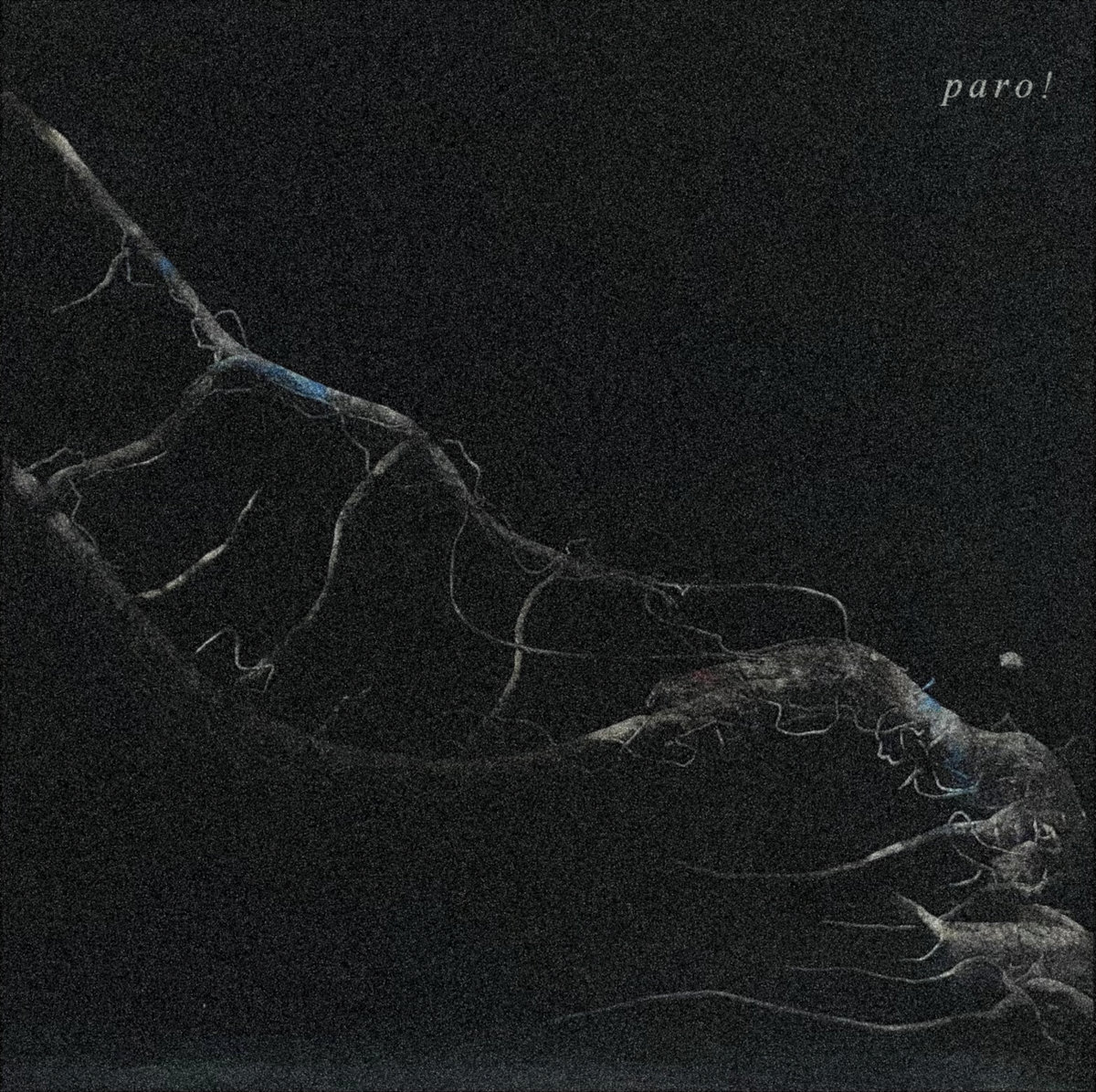 paro! Albums: songs, discography, biography, and listening guide - Rate ...