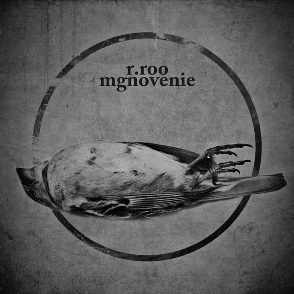 r.roo Albums: songs, discography, biography, and listening guide - Rate ...