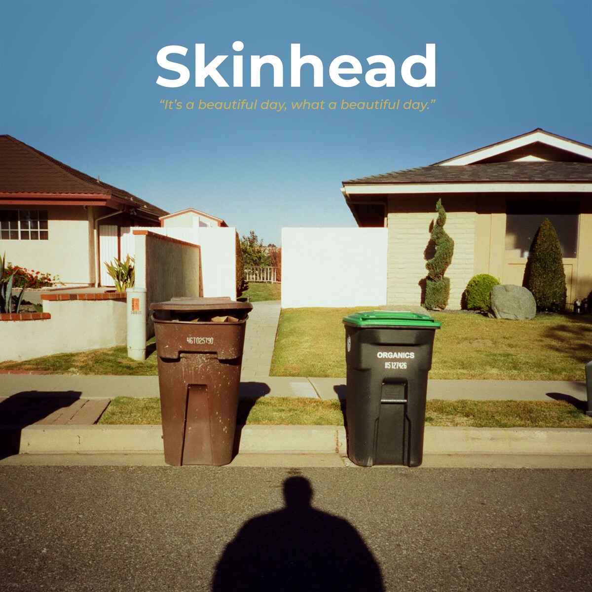 It's a Beautiful Day, What a Beautiful Day by Skinhead (Album, Street ...