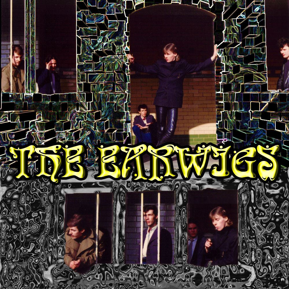 The Earwigs Albums: songs, discography, biography, and listening guide ...