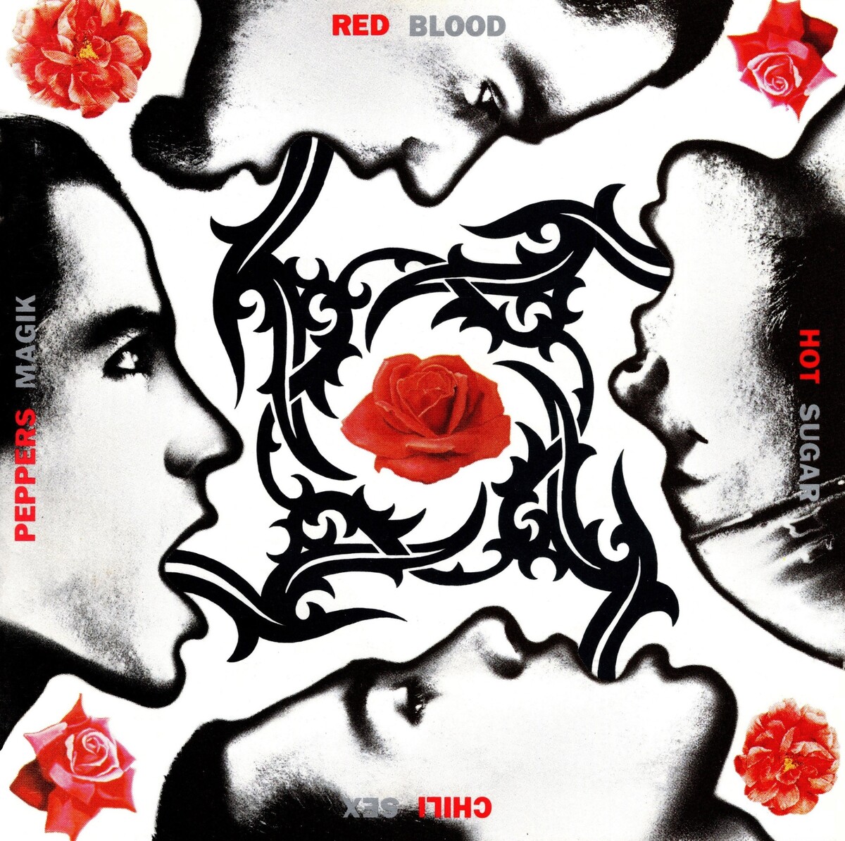 RED HOT CHILI PEPPERS レッチリ BSSM Blood Sugar Sex Magik by Red Hot Chili Peppers (Album, Funk Rock