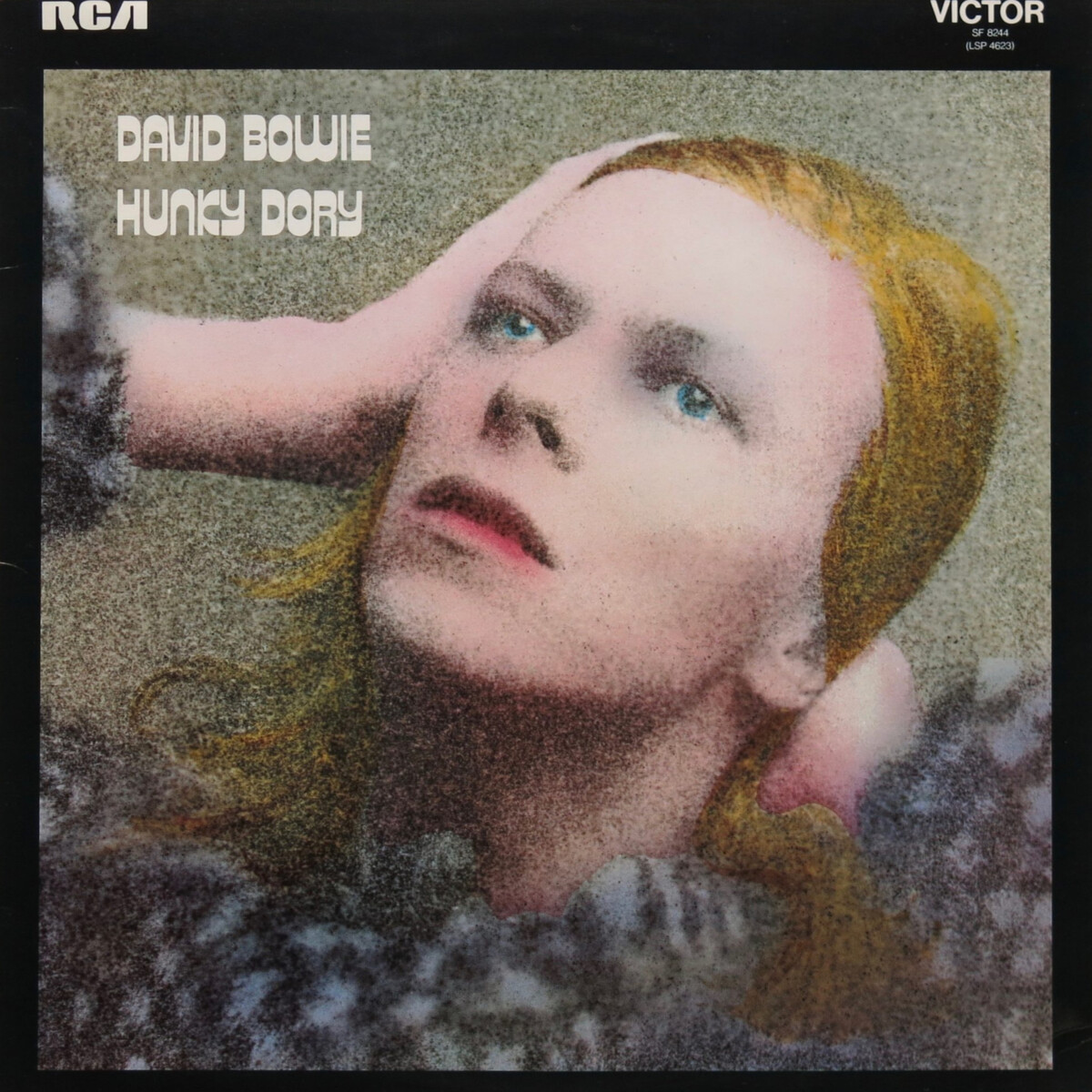 | Disc) Picture Anniversary (50th Dory Hunky UKオリジ初回 Dory Bowie/Hunky 【極レア】David サ*ン様 David Warner – Bowie 洋楽