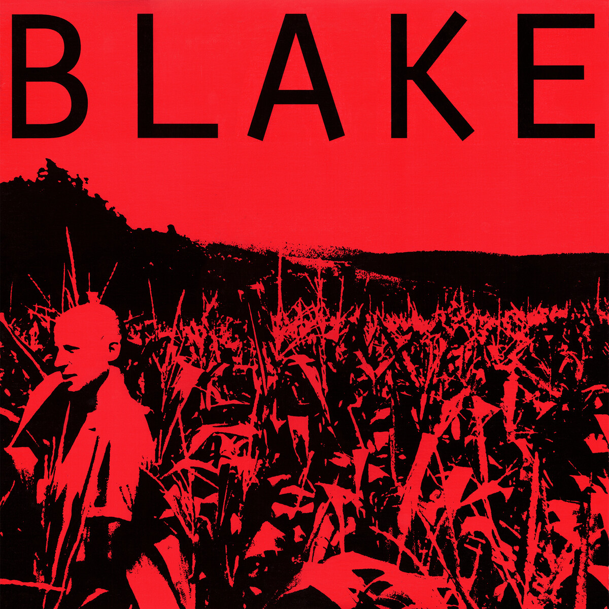 Blake Albums: songs, discography, biography, and listening guide - Rate ...