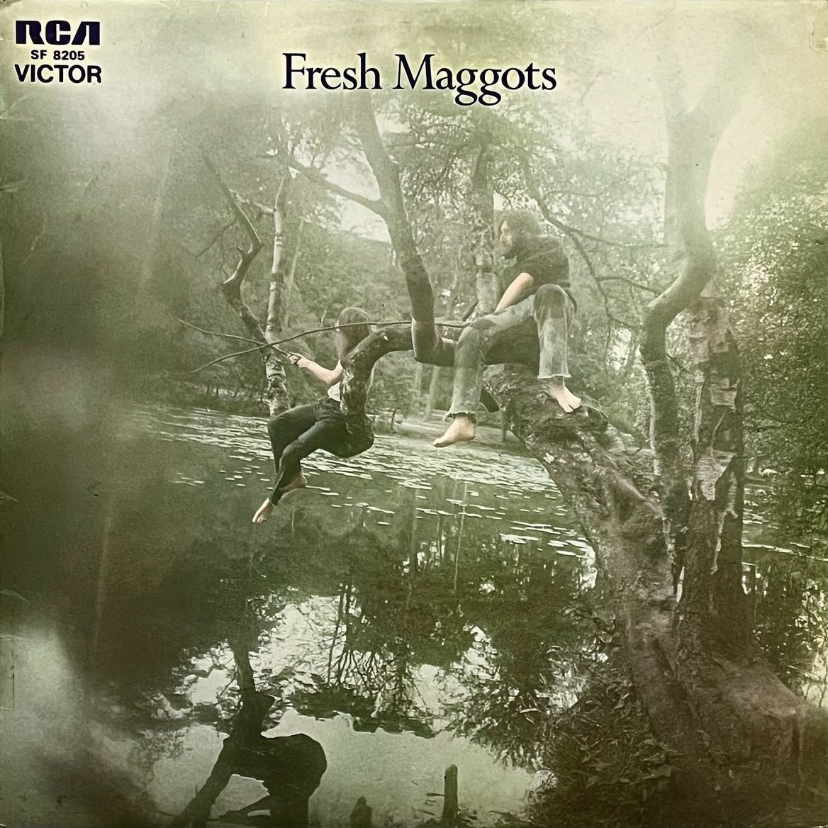 Fresh Maggots Albums: songs, discography, biography, and listening