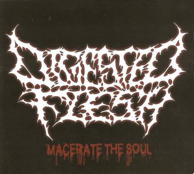Digested Flesh Albums: songs, discography, biography, and listening ...