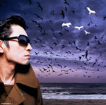 Thee Michelle Gun Elephant- discography dive - Rate Your Music
