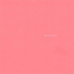 Sunny Day Real Estate - Sunny Day Real Estate