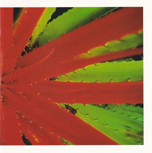 This Afternoon's Malady by Jejune (Album, Midwest Emo): Reviews
