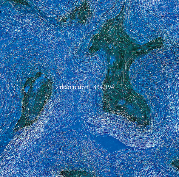 (未開封) サカナクション / sakanaction 834.194 by サカナクション [Sakanaction] (Album, Synth Funk