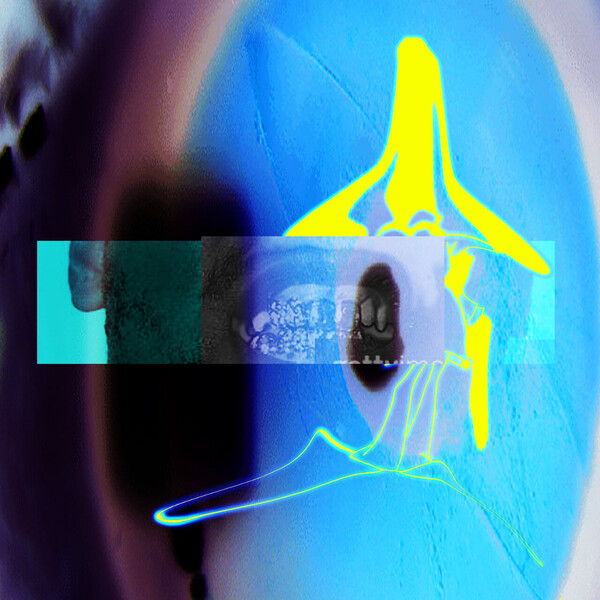 I Guess U Had to Be There by Elucid & Sebb Bash (Album, Abstract Hip ...