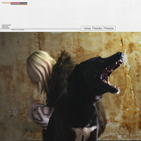 Cover art for Varias paredes pintadas by Error Vanessa