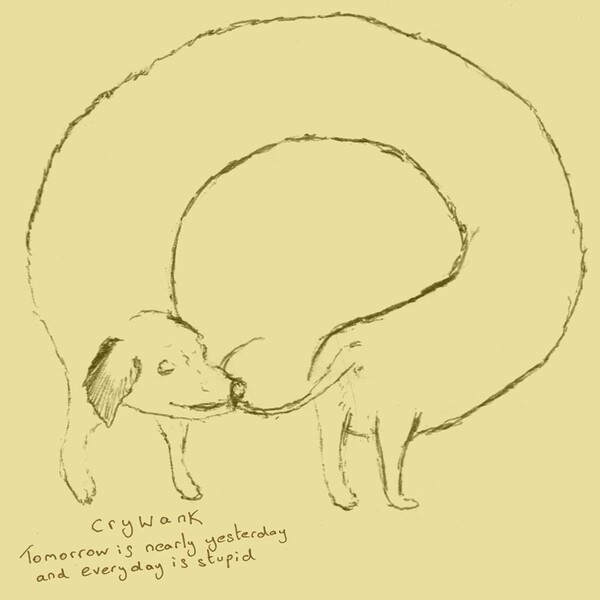 Tomorrow is Nearly Yesterday and Everyday is Stupid - Crywank