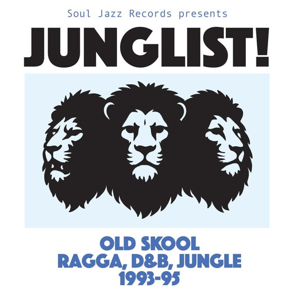 レア盤 Various / Ragga in the Jungle 1995 Junglist! Old Skool Ragga, D&B, Jungle 1993-95 by Various Artists