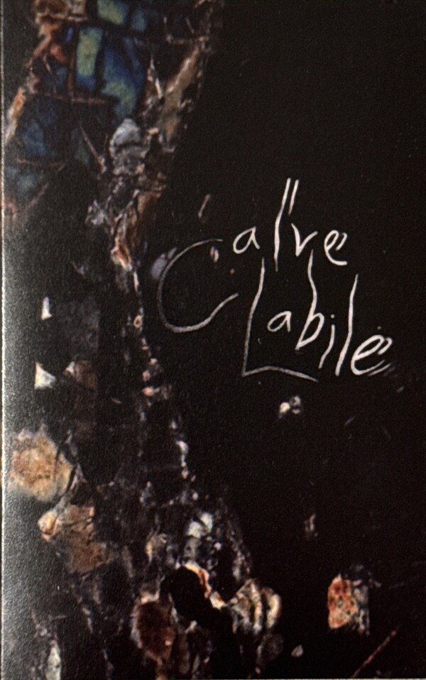Calve Labile by Calve Labile (Album; Fashionable Death; FD-007 ...