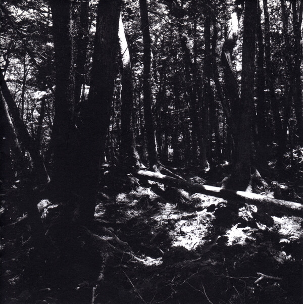 東京酒吐座　turnaround Turnaround by 東京酒吐座 [Tokyo Shoegazer] (Album, Shoegaze