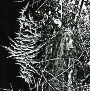 Jenovavirus Albums: songs, discography, biography, and listening