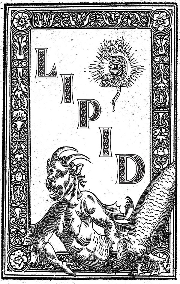 Lipid Albums Songs Discography Biography And Listening Guide Rate lipid-albums-songs-discography-biography-and-listening-guide-rate