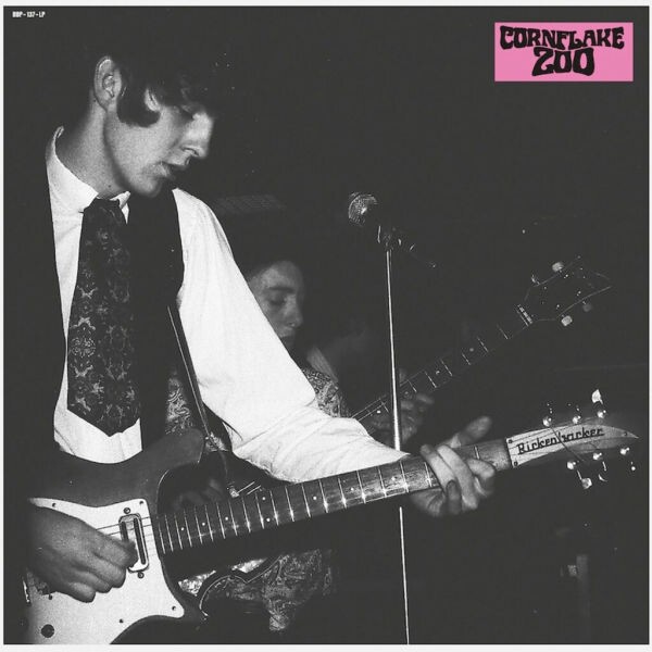 Knights of Fuzz by Cornflake Zoo (Compilation, Garage Rock