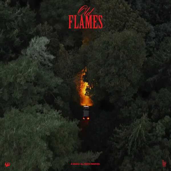 Old Flames by La Roux