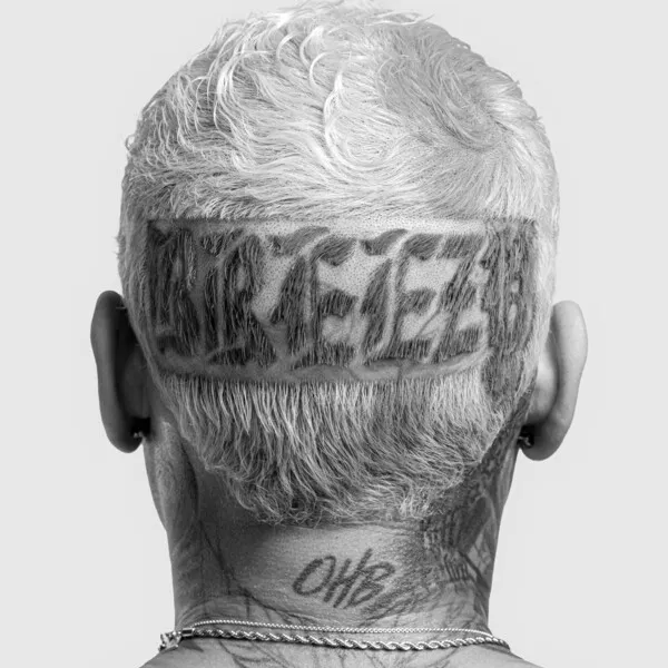 Cover art for Breezy by Chris Brown
