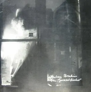 anton-bruhin-von-goldabfischer-Cover-Art
