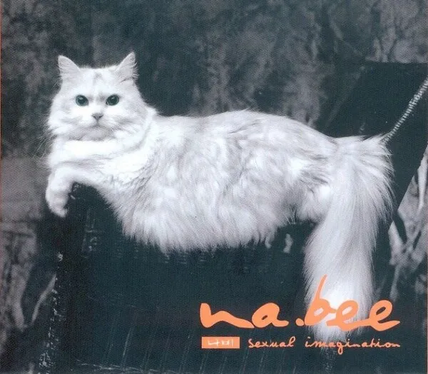 na_bee-sexual-imagination-Cover-Art.jpg