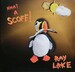 Ray Lake Albums: songs, discography, biography, and listening guide ...